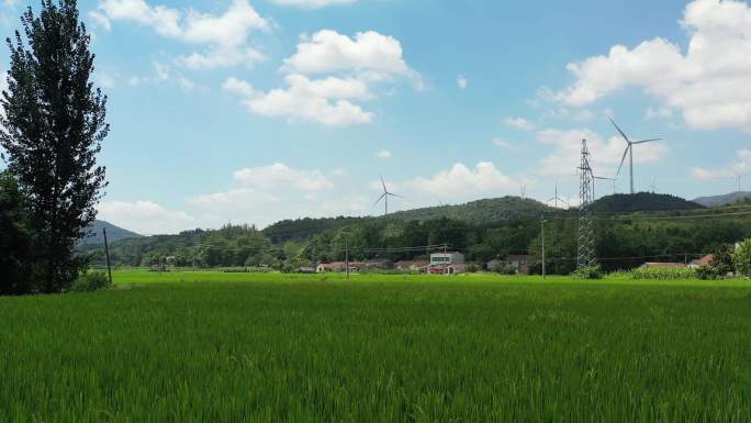 荆门圣境山稻田田园农村风车风力发电4K