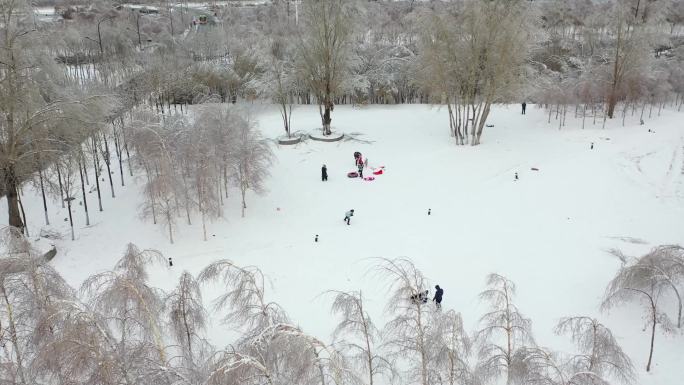 哈尔滨冬季玩雪,道路(2021)
