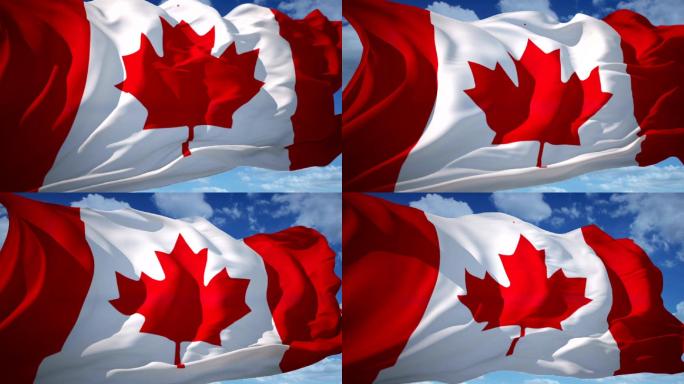 加拿大国旗视频素材