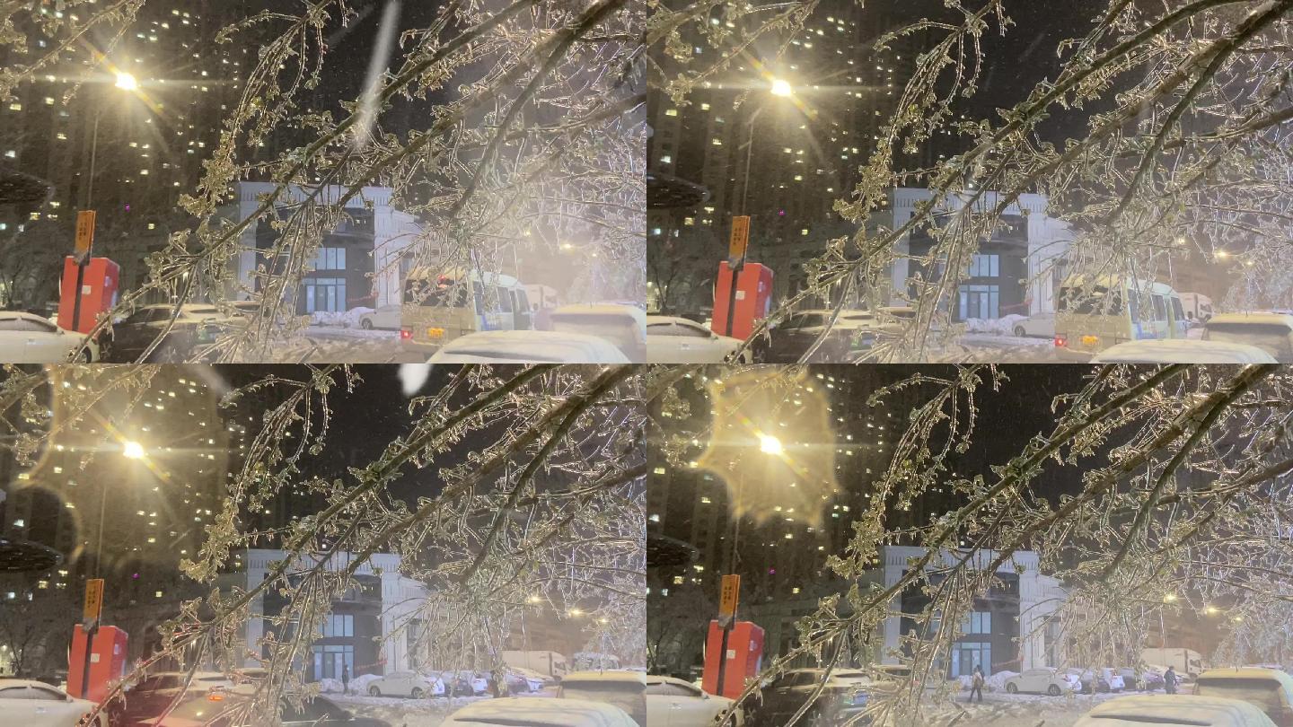 黑龙江 哈尔滨 冻雨下的小区   暴风雪