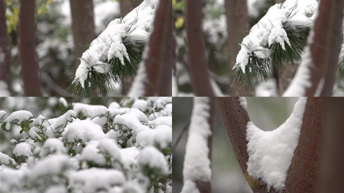 4k公园冬季树木落雪空镜素材合辑