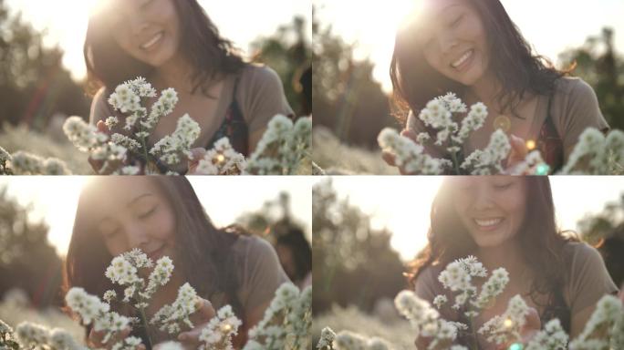 一个女人闻花花香菊花美女