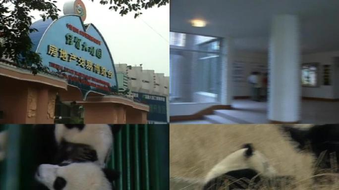 成都93国际熊猫节历史影像