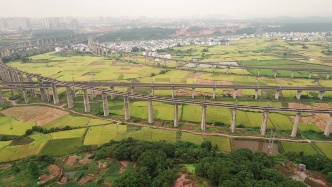 乡村金色稻田高铁轨道4K航拍视频