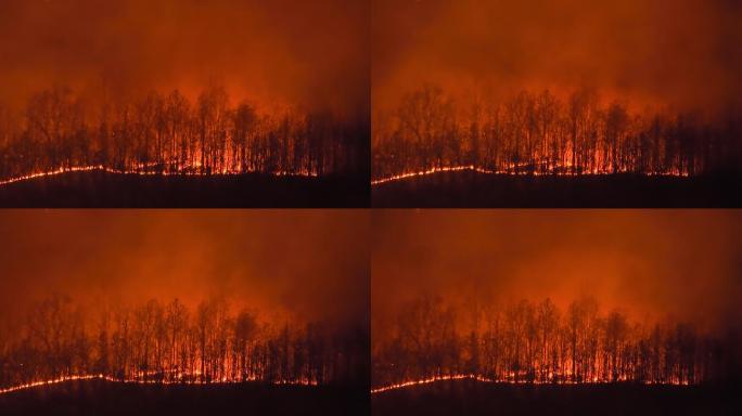 夜晚山上的野火森林危险破坏