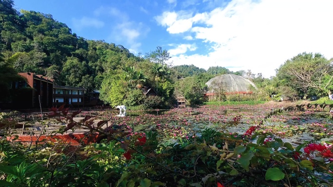 西双版纳野象谷延时