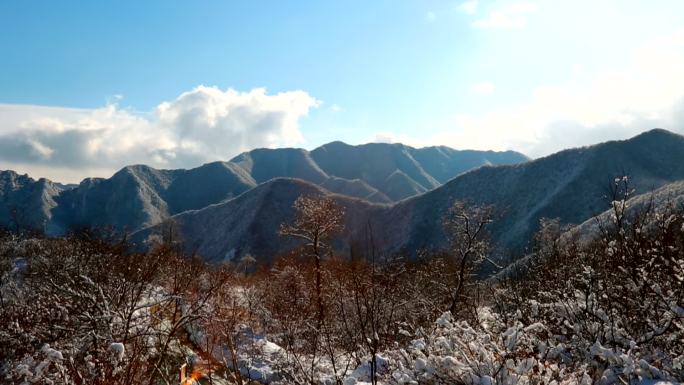 香山下雪