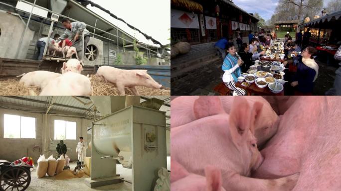 养猪 小猪 猪肉 养殖场 养猪场 农业
