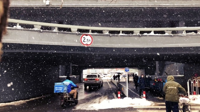 飘雪、下雪、城市雪景人文