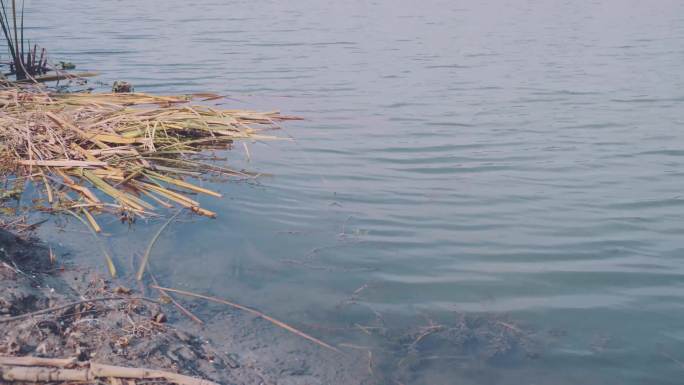 水面湖面波光粼粼江面湖水河流湖水