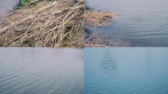 水面湖面波光粼粼江面湖水河流湖水