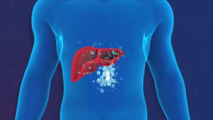 E3D人体肝脏效果