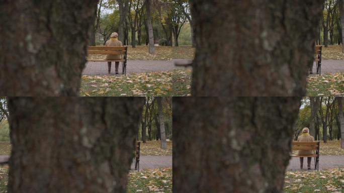 一位老人坐在公园背影身影老年人孤单孤独