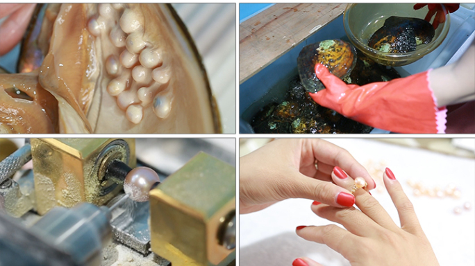 珍珠加工生产工艺流程