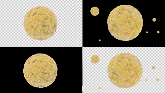 【原创】三维动画3D球形病毒细菌AE模板
