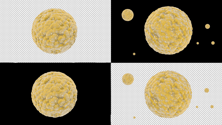 【原创】三维动画3D球形病毒细菌AE模板