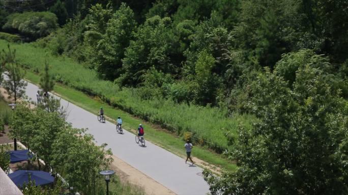 公路上的行人乡村旅游自行车跑步