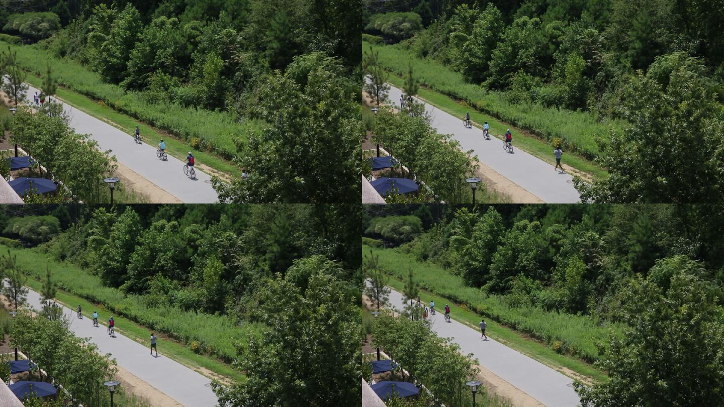 公路上的行人乡村旅游自行车跑步