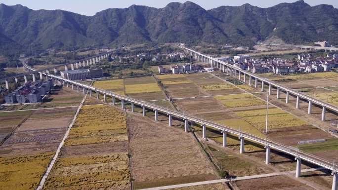 浙江永康南站高铁线路秋季稻田航拍高清铁路