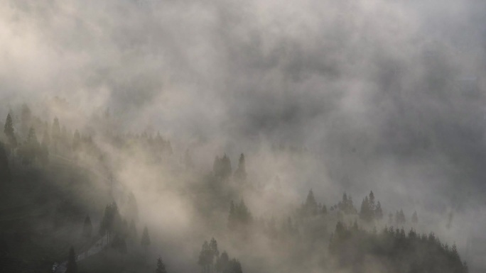 日出阳光山村树林雾景延时视频素材