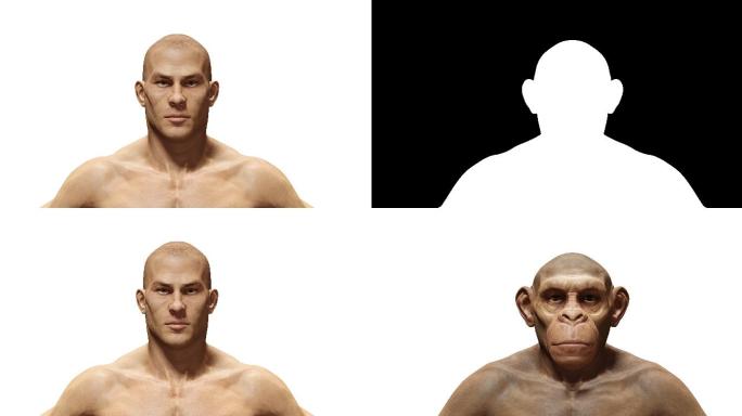 猿对人过程变形动画