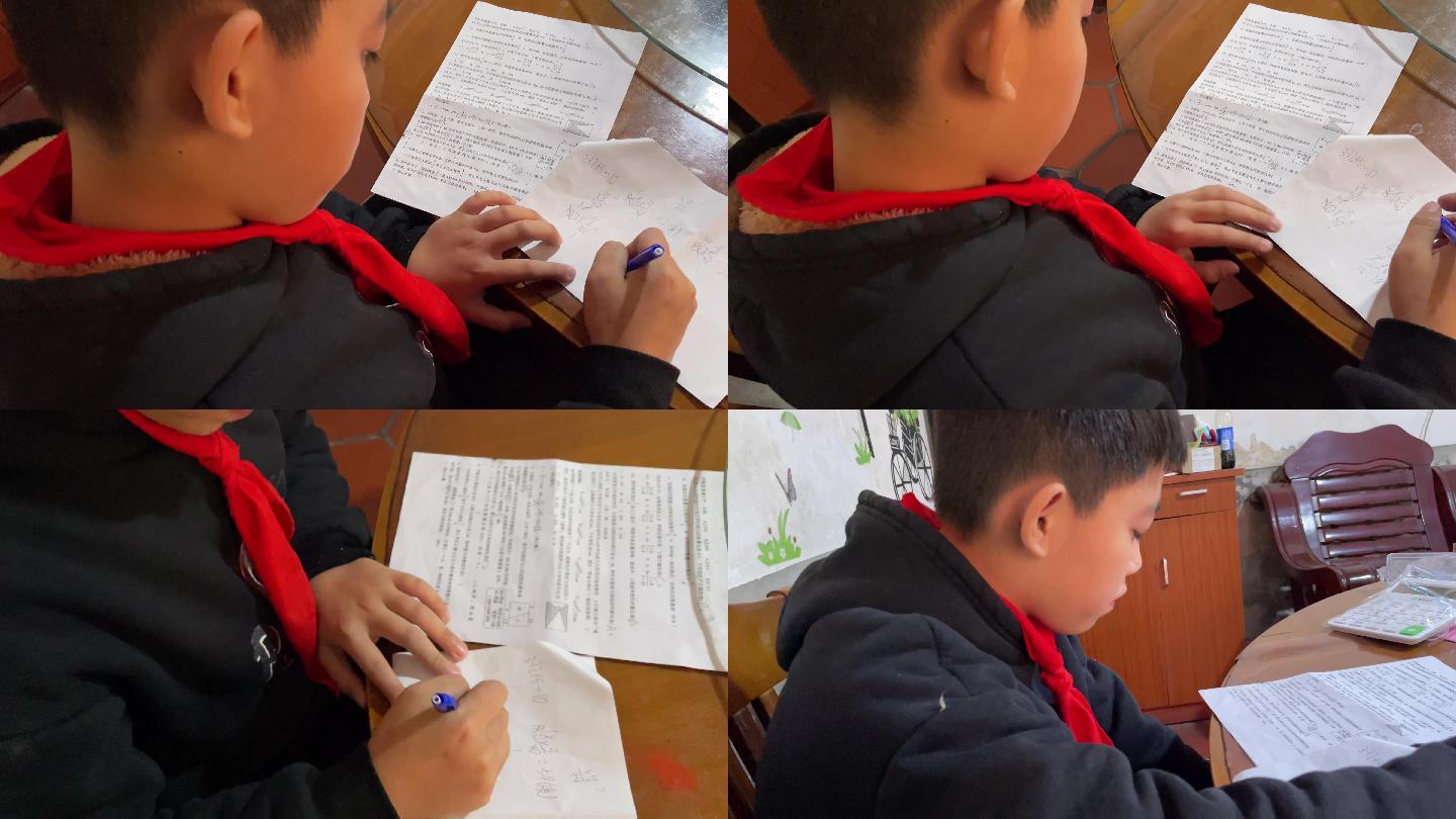 小学生，学习 ，做作业，红领巾，4k视频