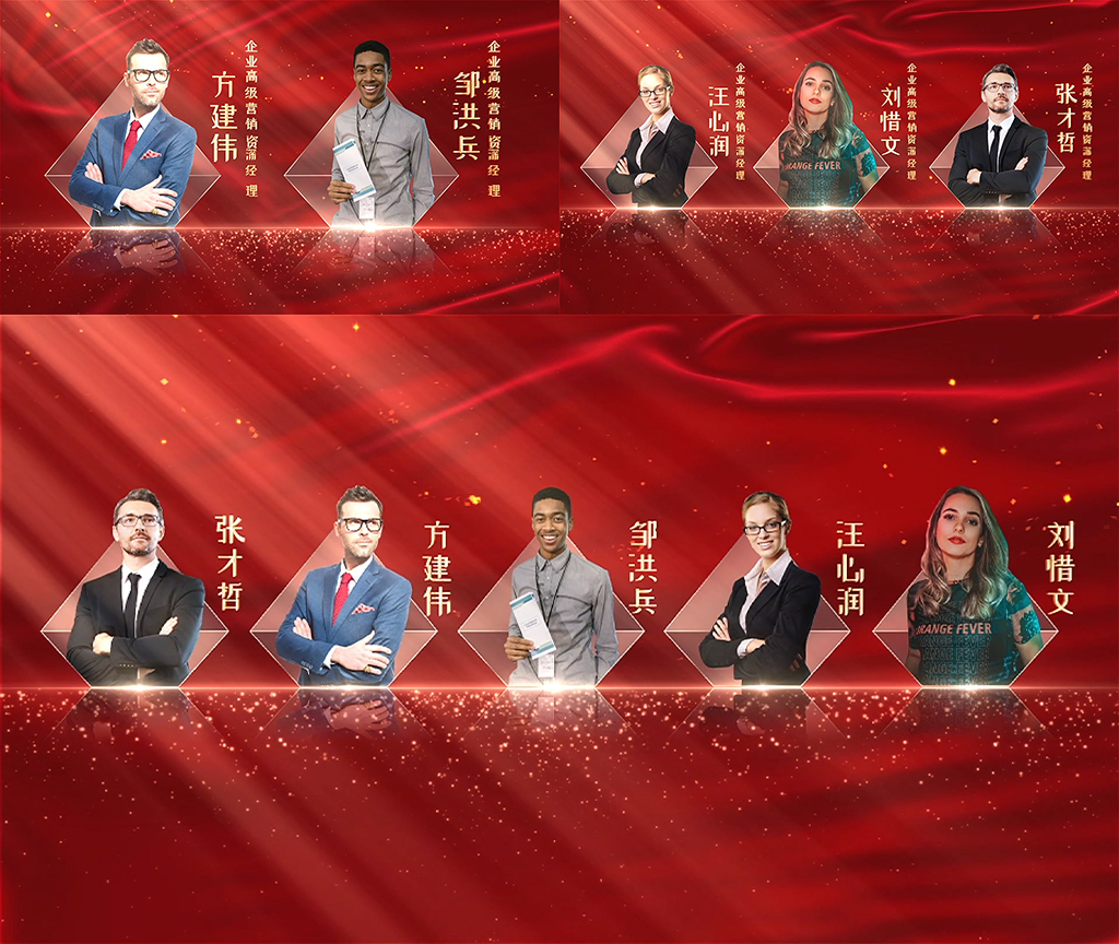 353红色专家团队人物展示