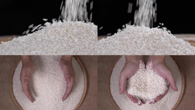 大米落下 手捧大米 米粒粮食 清晰影棚拍