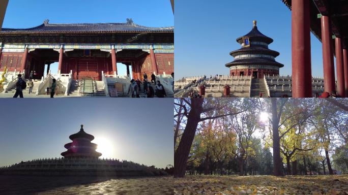 北京天坛祈年殿树叶秋景唯美北京绿化旅游