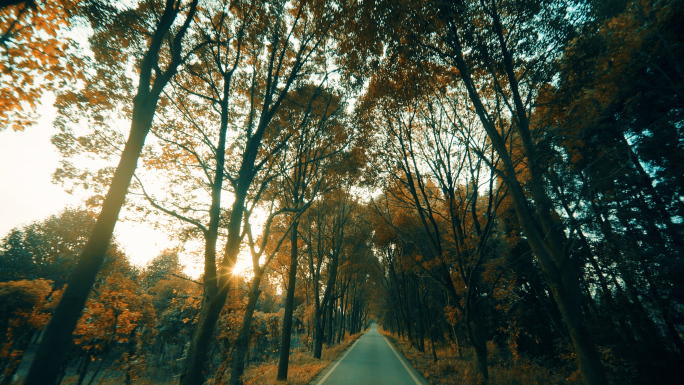 4k旅行车窗视角空镜