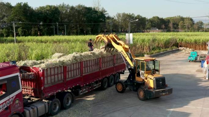 甘蔗渣回收利用装车4K航拍视频