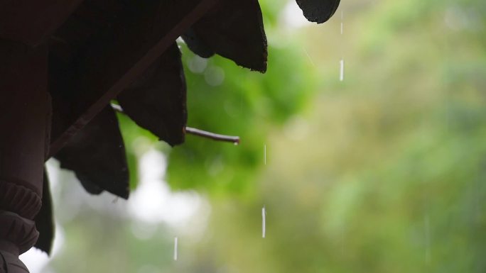雨中的亭台楼阁水滴下雨天古建筑