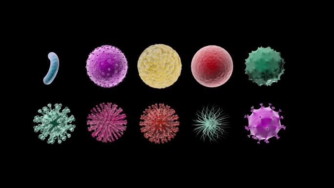 【原创】三维3D细菌病毒3D模型