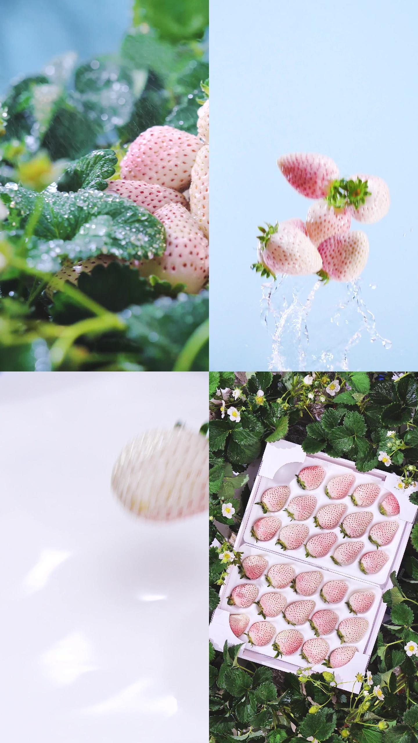 白草莓淡雪水果高清日本小清新广告原创视频