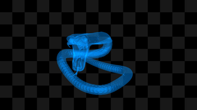 全息蛇毒蛇展示3-循环alpha通道