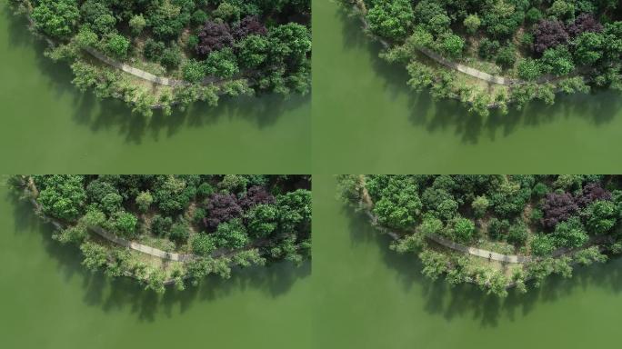 公园湖边晨跑湖房地产景通用素材航拍4K