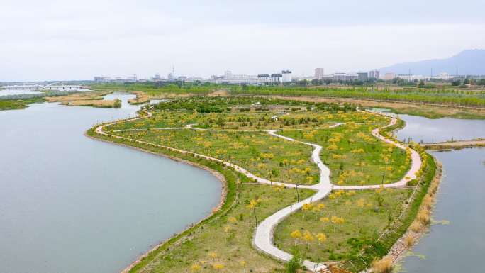 高台县黑河湿地公园