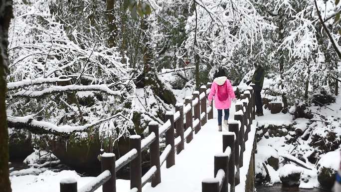 冬天下雪冰雪雪景徒步旅游风景长廊