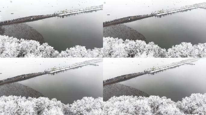4K航拍杭州西湖断桥雪景