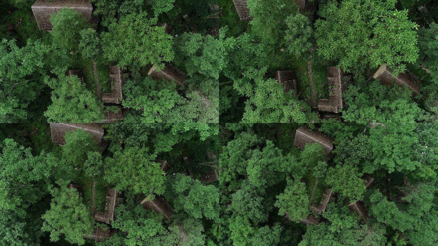 林间木屋森林木屋旅游宣传片通用素材航拍