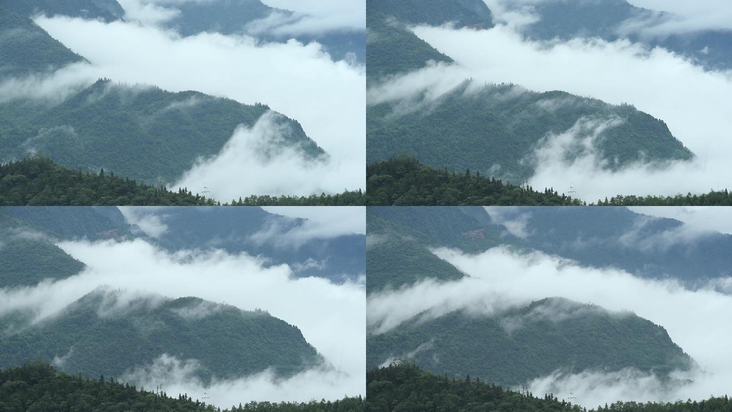 大山山谷生态自然美景唯美雾景延时