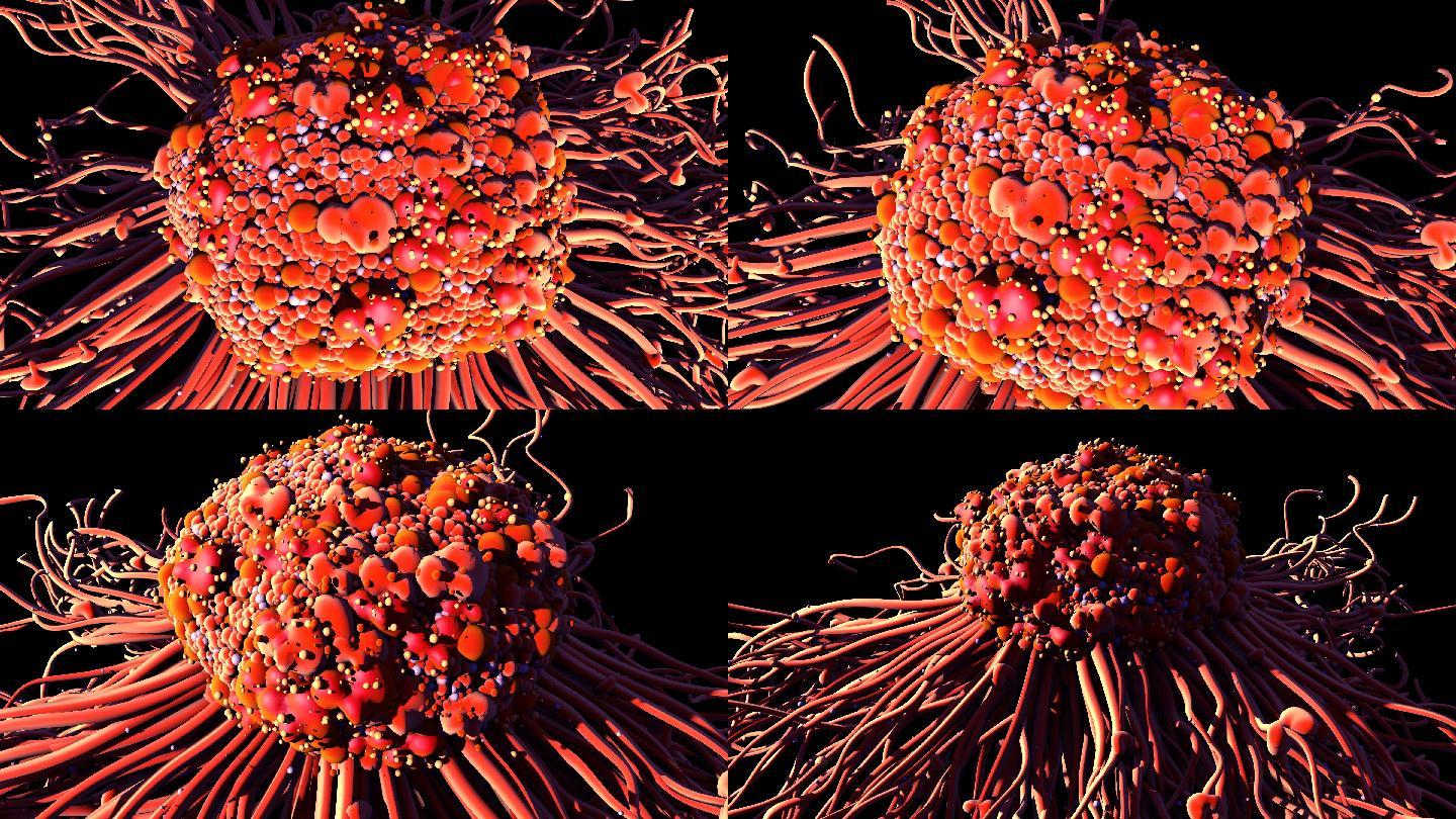 运动癌细胞三维图解