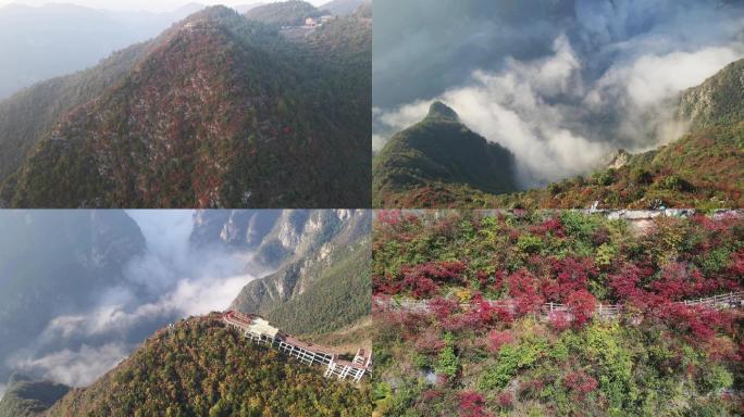重庆巫山：巫峡·神女景区红叶正红