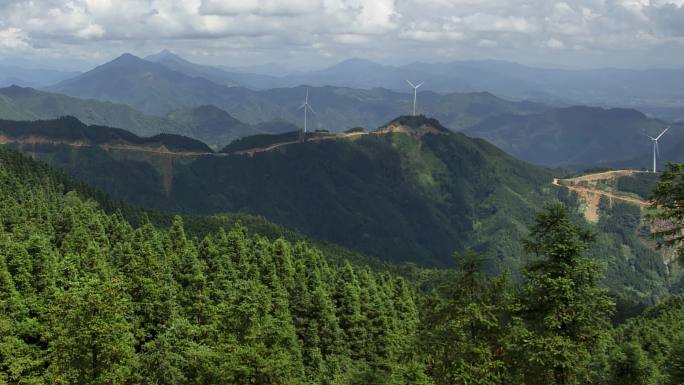 户外风景山林森林树林