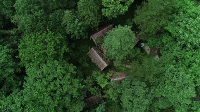 林间木屋森林木屋旅游宣传片通用素材航拍