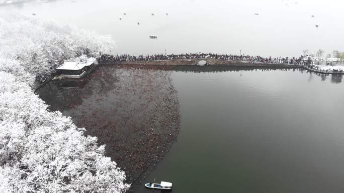 4K航拍杭州西湖断桥雪景