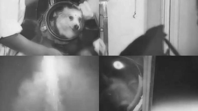 50年代送狗入太空实验