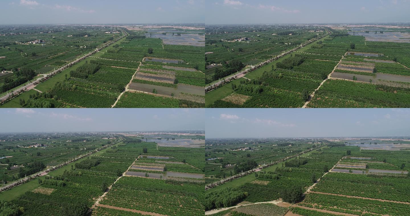 渭河河堤整治河堤改造防洪堤河堤生态绿化