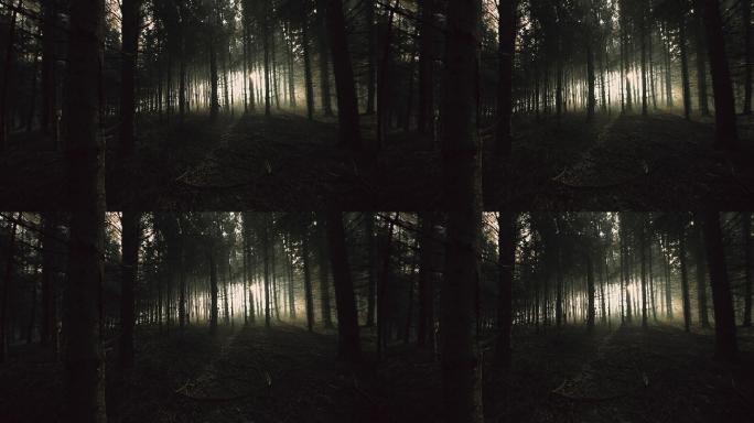 惊恐的年轻人在黑暗的森林中奔跑