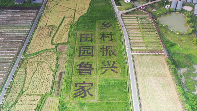 浙江湖州安吉鲁家村 田园农场 乡村振兴